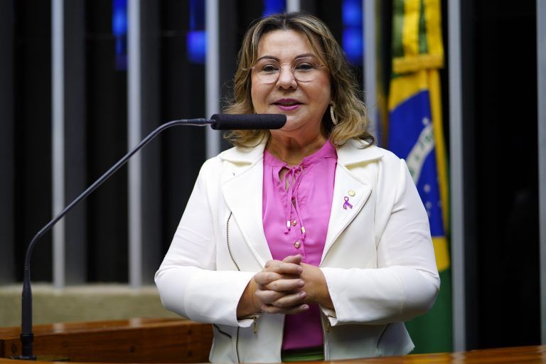 Tereza Nelma: 45,6 milhões de brasileiros têm algum tipo de deficiência - (Foto: Pablo Valadares/Câmara dos Deputados)