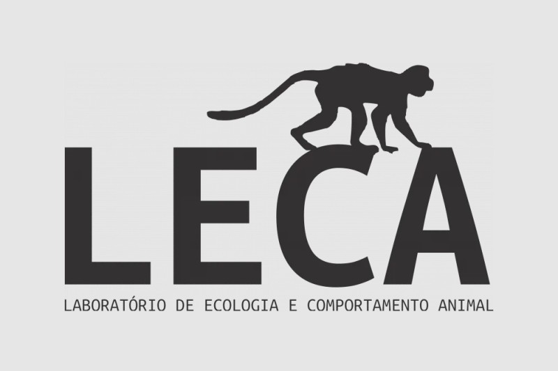Foto: Projeto/LECA