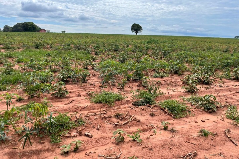 Foto: DEFESA CIVIL DO PARANÁ