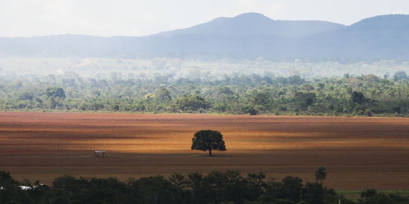 © Marcelo Camargo/Agência Brasil