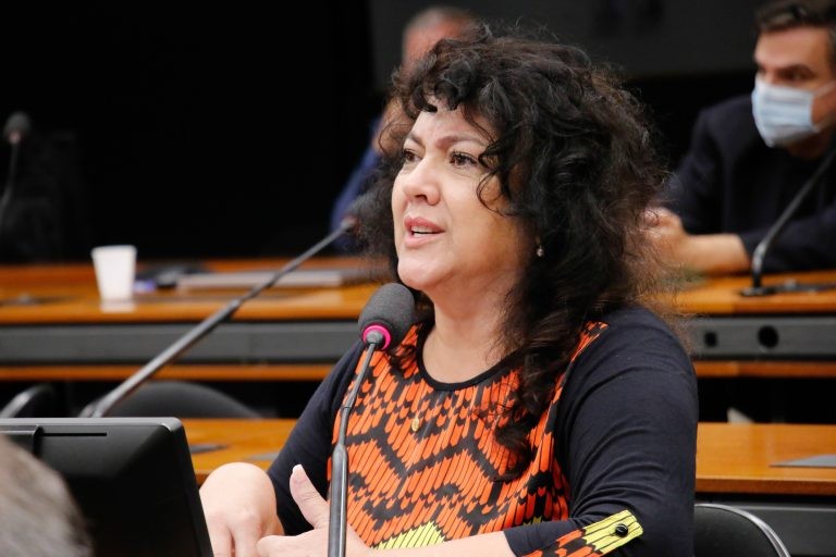 Deputada Christiane Yared, autora do projeto de lei - (Foto: Marina Ramos/Câmara dos Deputados)