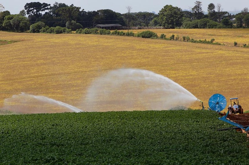 Plantação de batata no interior paranaense: pesquisa agropecuária e acesso do produtor à tecnologia serão foco de audiência da CRA - Gilson Abreu/AEN