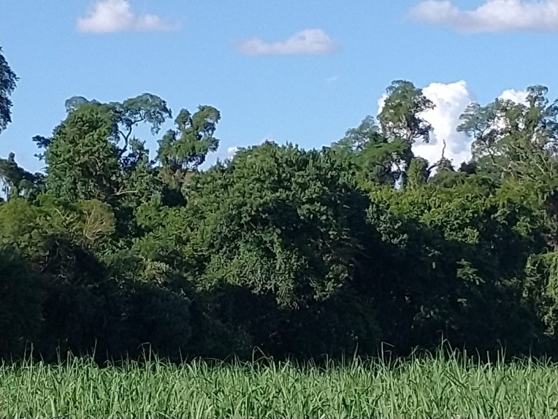 Foto: Divulgação Sedest