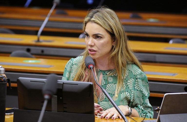 Pela proposta de Paula Belmonte, empresas poderão apadrinhar crianças - (Foto: Gustavo Sales/Câmara dos Deputados)