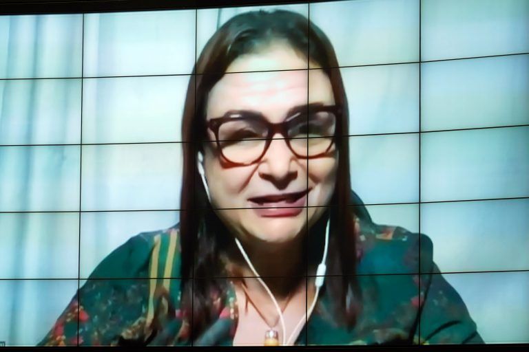 Professora Rosa Neide: escola tem papel essencial na saúde mental dos jovens - (Foto: Pablo Valadares/Câmara dos Deputados)