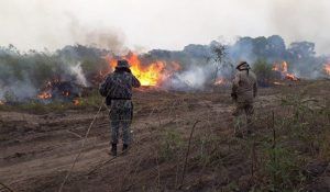 Queimada na região do Pantanal, em Mato Grosso - (Foto: Divulgação/CBMS)