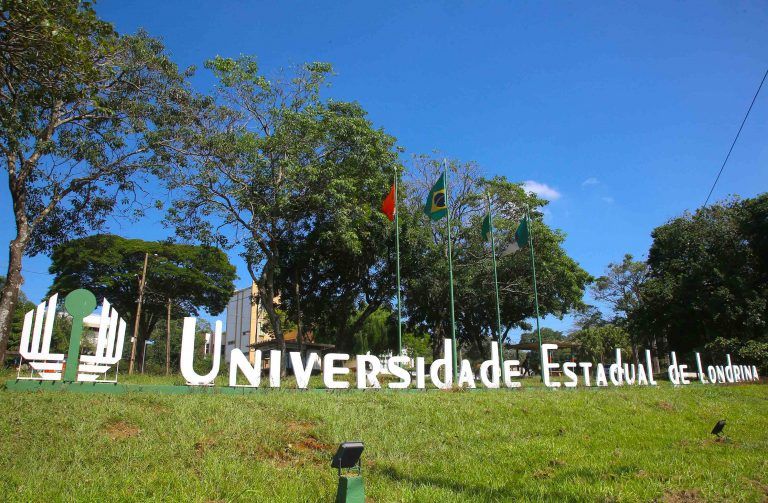 Formatura antecipada exige 75% do período de internato ou do estágio obrigatório - (Foto: Jaelson Lucas/Agência de Notícias do Paraná)