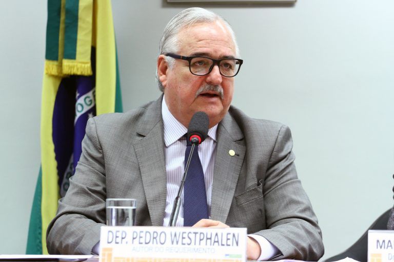 Pedro Westphalen coordenará os trabalhos - (Foto: Vinicius Loures/Câmara dos Deputados)