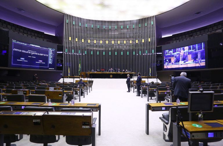 Plenário está reunido em sessão virtual - (Foto: Najara Araujo/Câmara dos Deputados)