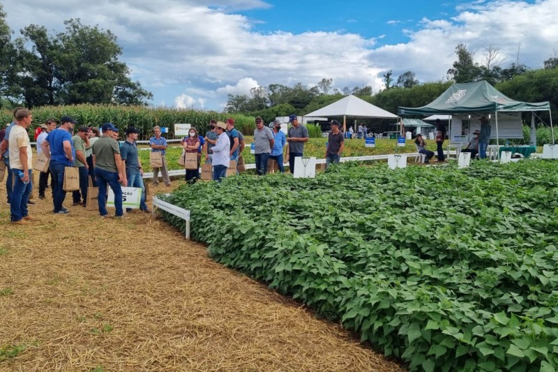 Foto: IDR-PARANÁ