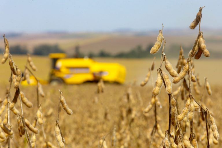 Deputados querem saber as prioridades e metas da pasta - (Foto: Jaelson Lucas/Agência de Notícias do Paraná)