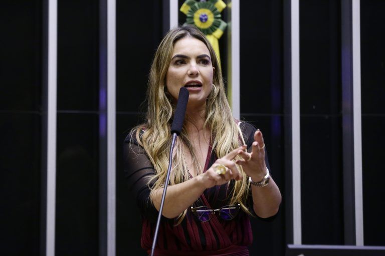 Belmonte: segmento é essencial para a geração de postos de trabalho - (Foto: Maryanna Oliveira/Câmara dos Deputados)