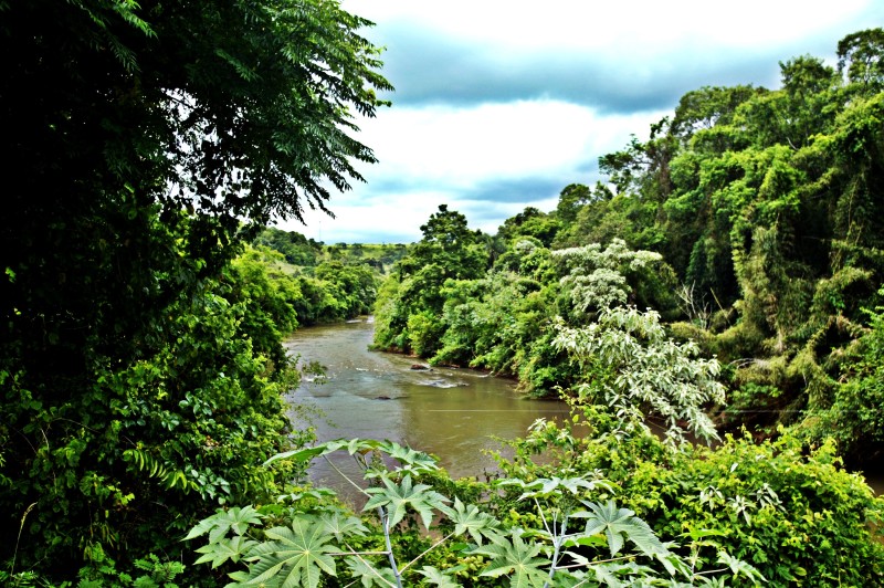 Foto: Denis Ferreira Netto