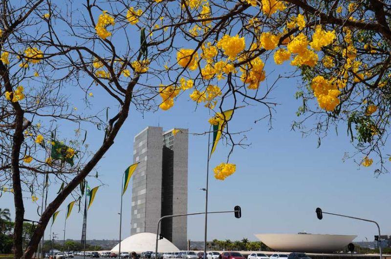 Em sessão marcada para esta terça-feira (4), Senado e Câmara também devem analisar vetos presidenciais pendentes sobre a compra de vacinas e o apoio à internet para a educação básica - Marcos Oliveira/Agência Senado