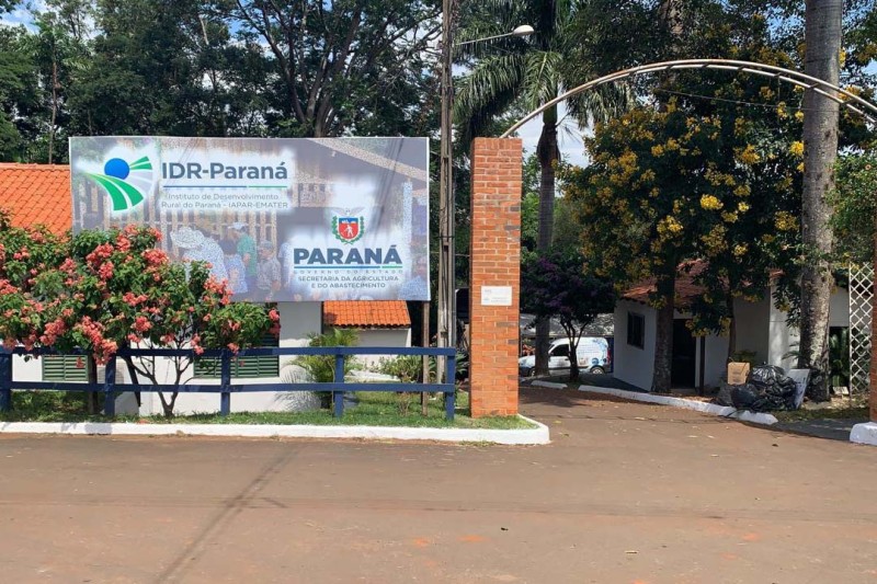 Foto: IDR