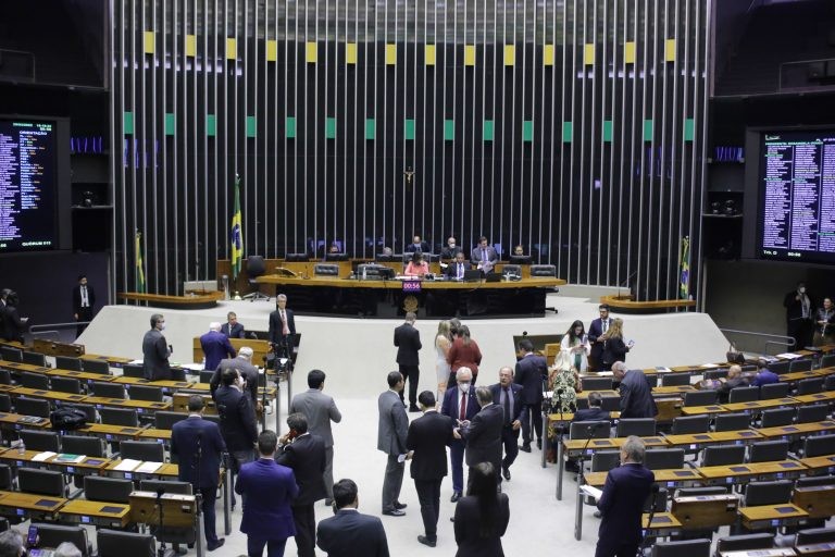 Margarete Coelho, relatora da proposta - (Foto: Zeca Ribeiro/Câmara dos Deputados)