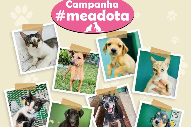 Foto: Portos do Paraná
