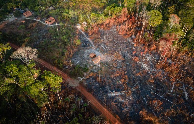 Salles deve apresentar ações de combate às queimadas feitas pelo ministério - (Foto: Cícero Pedrosa Neto/Amazônia Real)