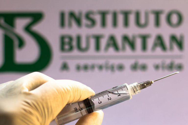 Instituto Butantan, em São Paulo - (Foto: Rafapress/Depositphotos)