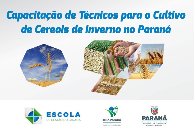 Foto: IDR-PARANÁ