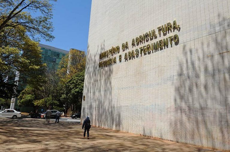 Operação tem aval do Incra e do Ministério da Agricultura - (Foto: Marcos Oliveira/Agência Senado)