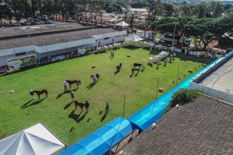 Foto: IDR-PARANÁ