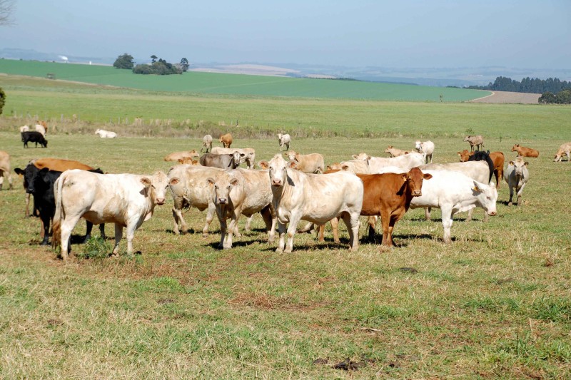 Foto: Arquivo AEN