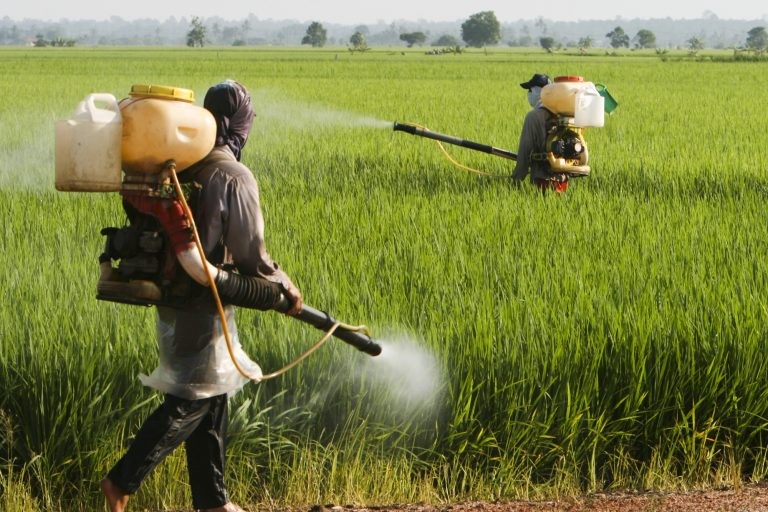 Estudo mostra que 20% das vítimas dos agrotóxicos são crianças e adolescentes - (Foto: kiankhoon/DepositPhotos)