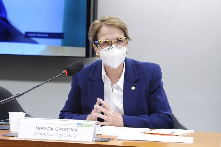 Tereza Cristina quer implantar o CAR em todo o País em dois anos - (Foto: Gustavo Sales/Câmara dos Deputados)