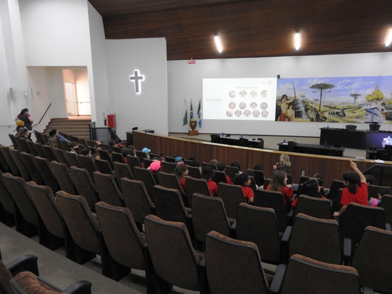 Foto: Reprodução/Câmara Municipal de Castro - PR