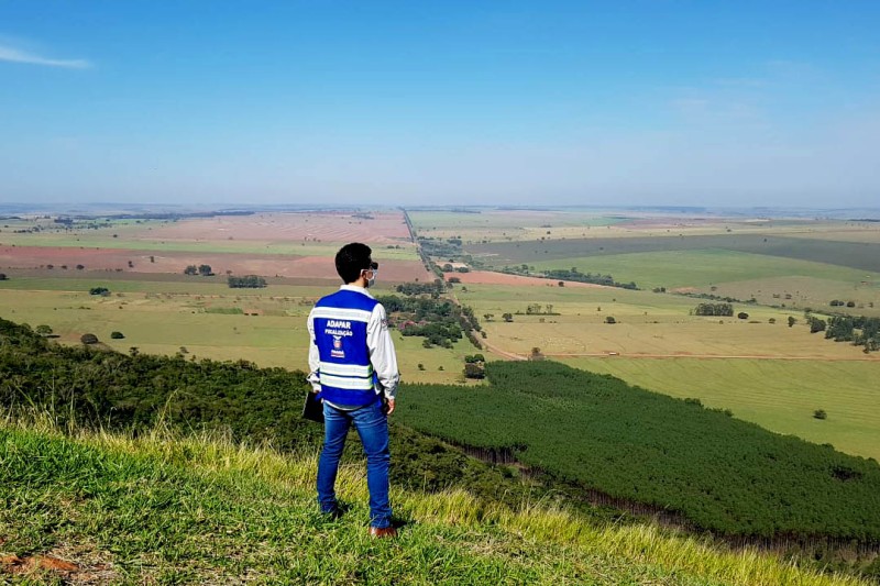 Foto: ADAPAR/SEAB-PARANÁ