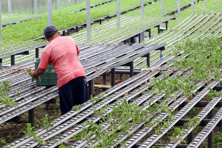 Banco Central propõe critérios de sustentabilidade para o crédito - (Foto: Gilson Abreu/Agência de Notícias do Paraná)