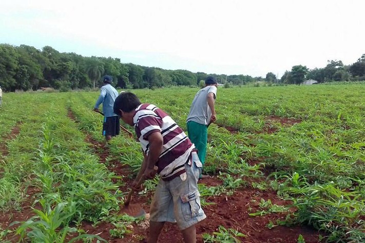Foto: SEJUF-PARANÁ
