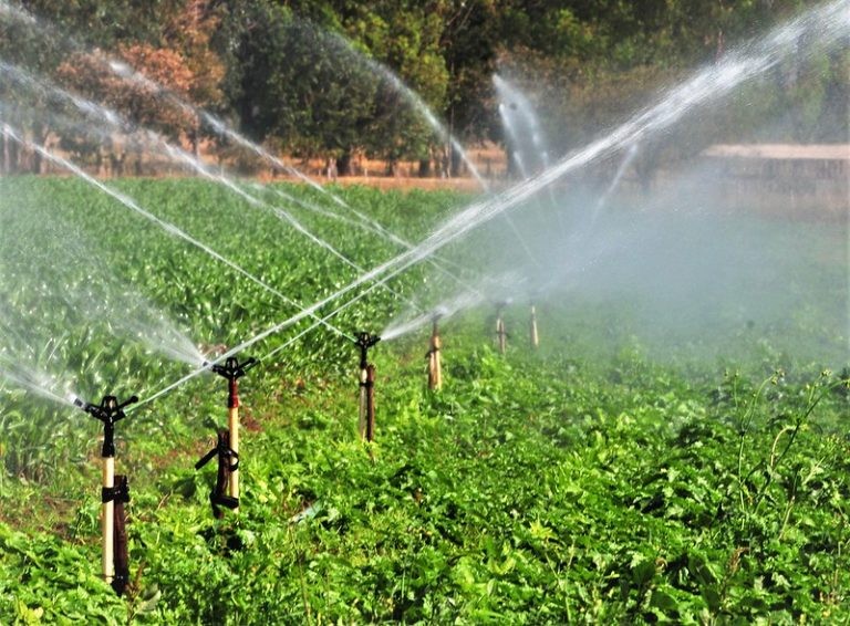 Ministério da Agricultura estima que só 6,5 milhões de hectares são efetivamente irrigados no Brasil - (Foto: Acácio Pinheiro/Agência Brasília)