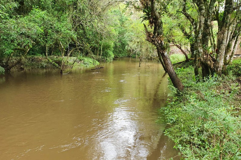Foto: IDR-PARANÁ
