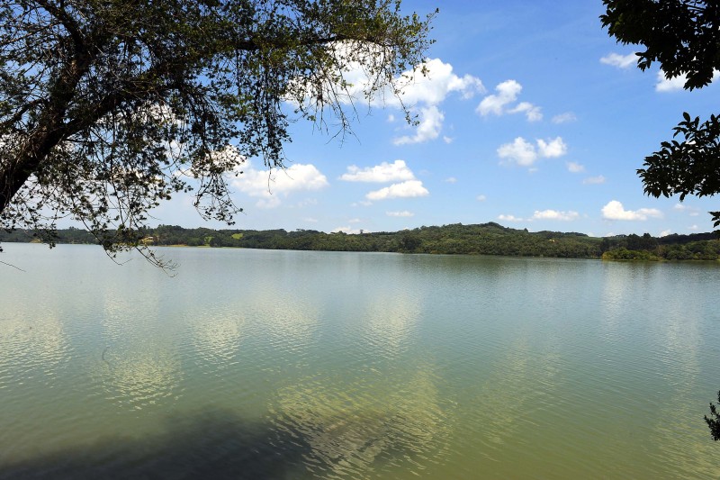 Foto: Denis Ferreira Netto