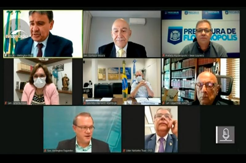 Senadores em reunião remota com governadores e prefeito nesta segunda-feira - Reprodução/Tv Senado