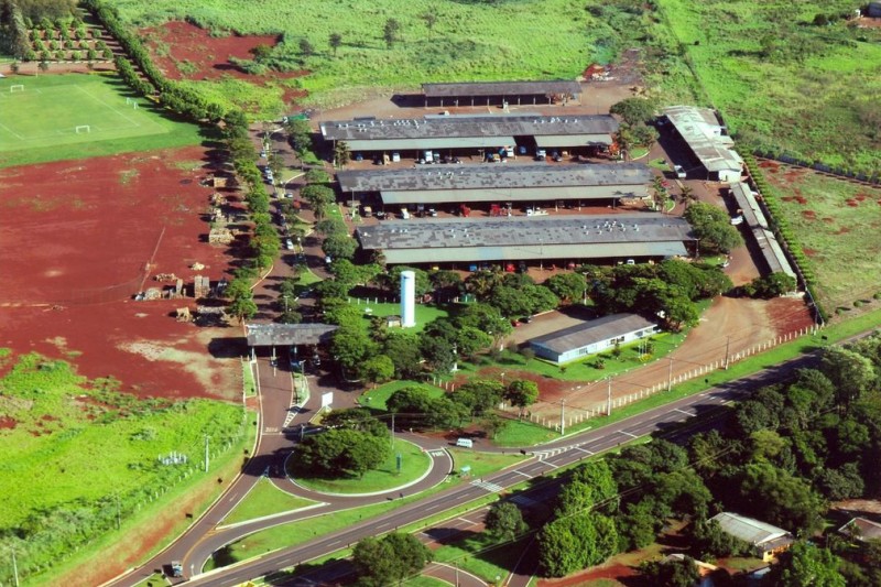 Foto: CEASA-PARANÁ