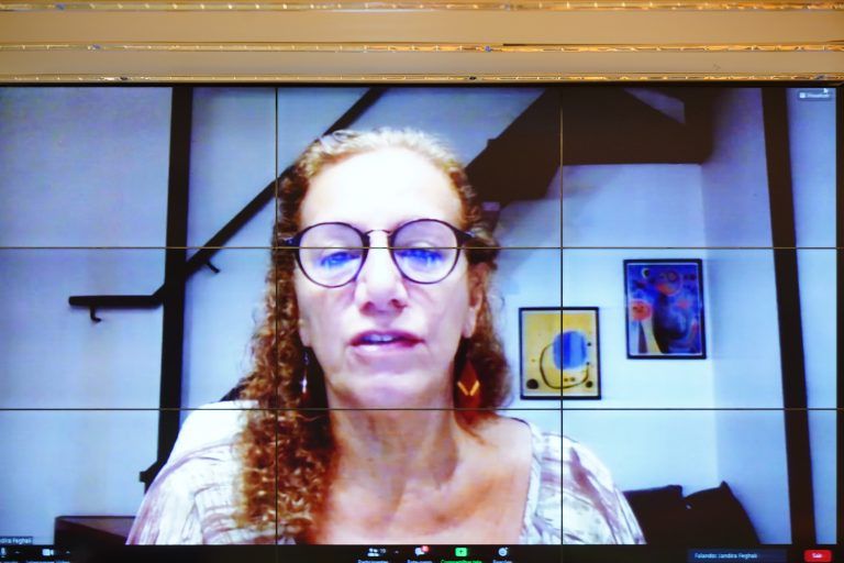 Jandira Feghali destacou o papel do Estado no fomento às pesquisas - (Foto: Pablo Valadares/Câmara dos Deputados)