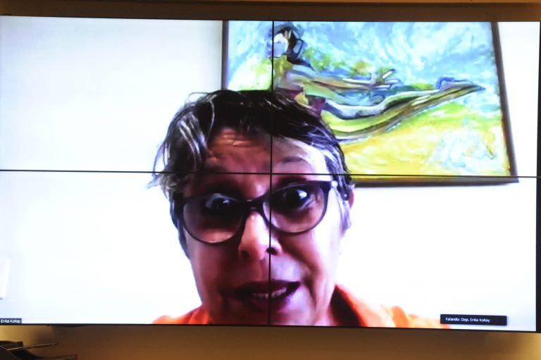 Kokay lembrou que a Casa aprovou a criação da Semana Escolar de Combate à Violência contra a Mulher - (Foto: Gustavo Sales/Câmara dos Deputados)