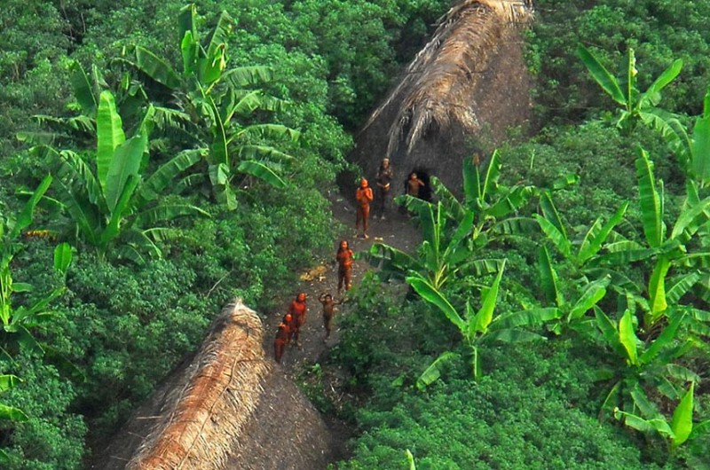 Indígenas isolados são os mais vulneráveis a ataques de quem promove atividades ilegais na Amazônia; assassinato do indigenista Bruno Pereira e do jornalista Dom Phillips motivou criação de comissão externa no âmbito da CDH - Gleilson Miranda/Governo do A