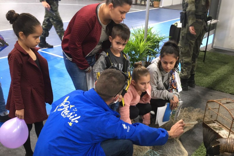 Foto: IAT/SEDEST-PARANÁ