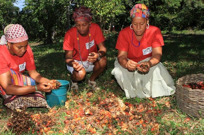 Mulheres separam sementes de dendê, na comunidade quilombola Kaonge, em Cachoeira (BA) - Tatiana Azeviche/Setur-BA