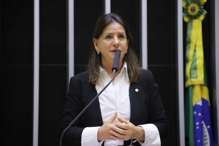 Carmen Zanotto recomendou a aprovação do projeto, com mudanças - (Foto: Paulo Sérgio/Câmara dos Deputados)