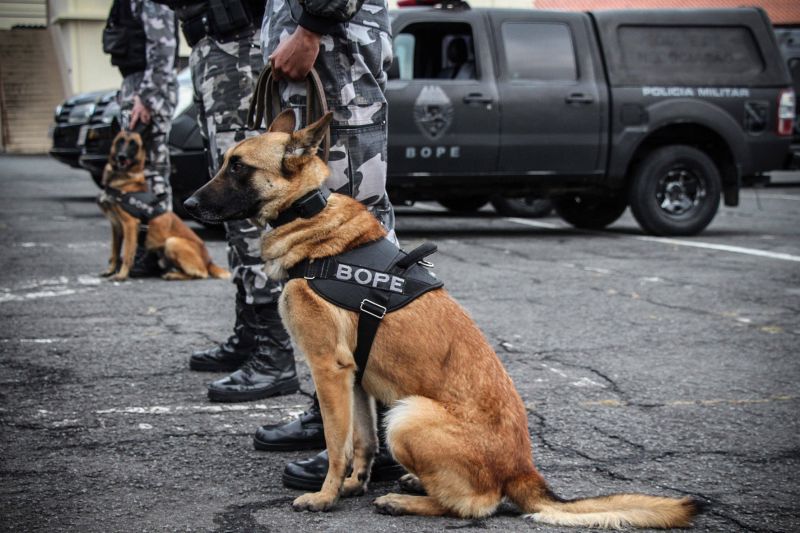 © Polícia Militar do Paraná/SESP/PR