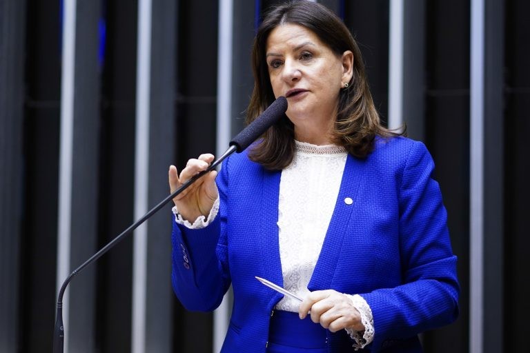 A autora da proposta, deputada Carmen Zanotto - (Foto: Pablo Valadares/Câmara dos Deputados)
