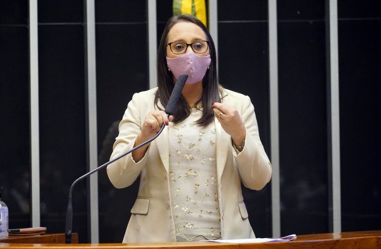 Renata Abreu é relatora da reforma política - (Foto: Pablo Valadares/Câmara dos Deputados)