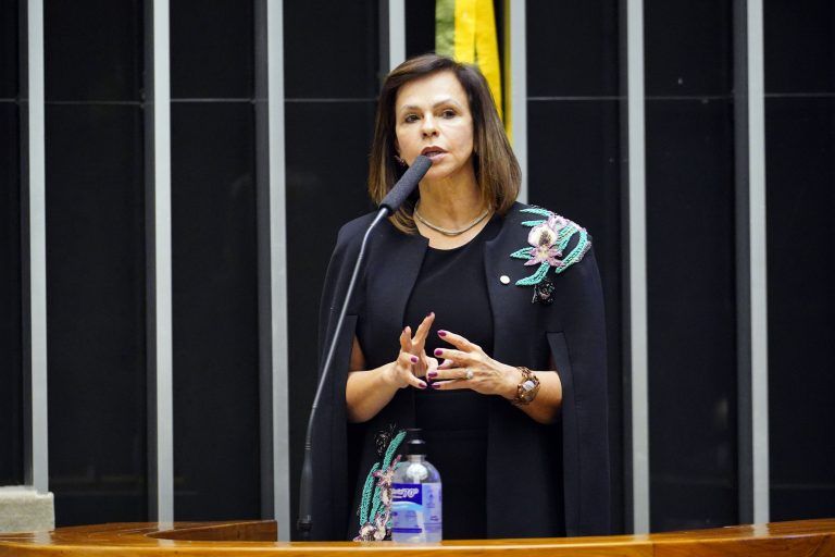 Professora Dorinha: é preciso viabilizar a atuação dessas entidades e garantir transparência e probidade - (Foto: Pablo Valadares/Câmara dos Deputados)