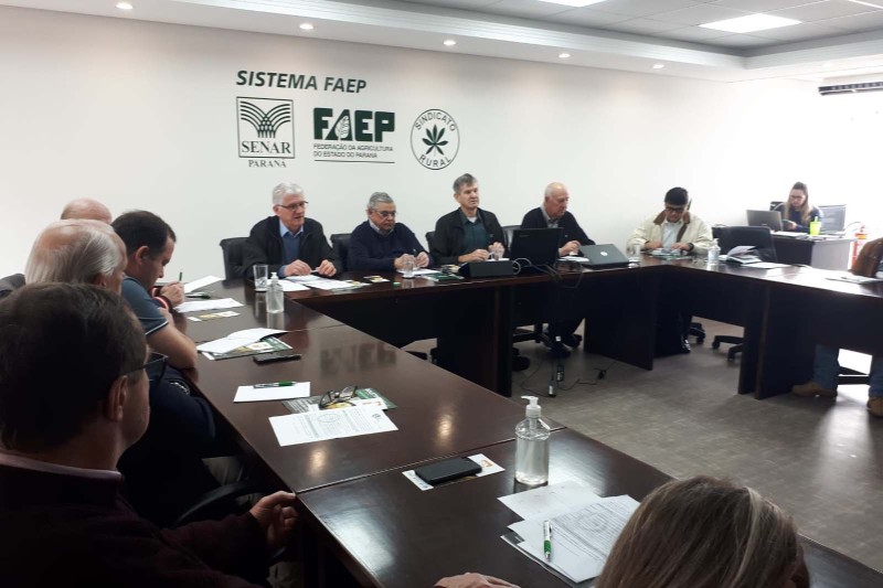 Foto: Reprodução/Secom Paraná
