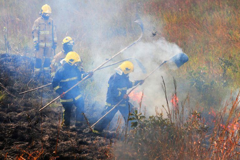 Bombeiros combatem fogo no Cerrado - (Foto: Acácio Pinheiro/Agência Brasília)